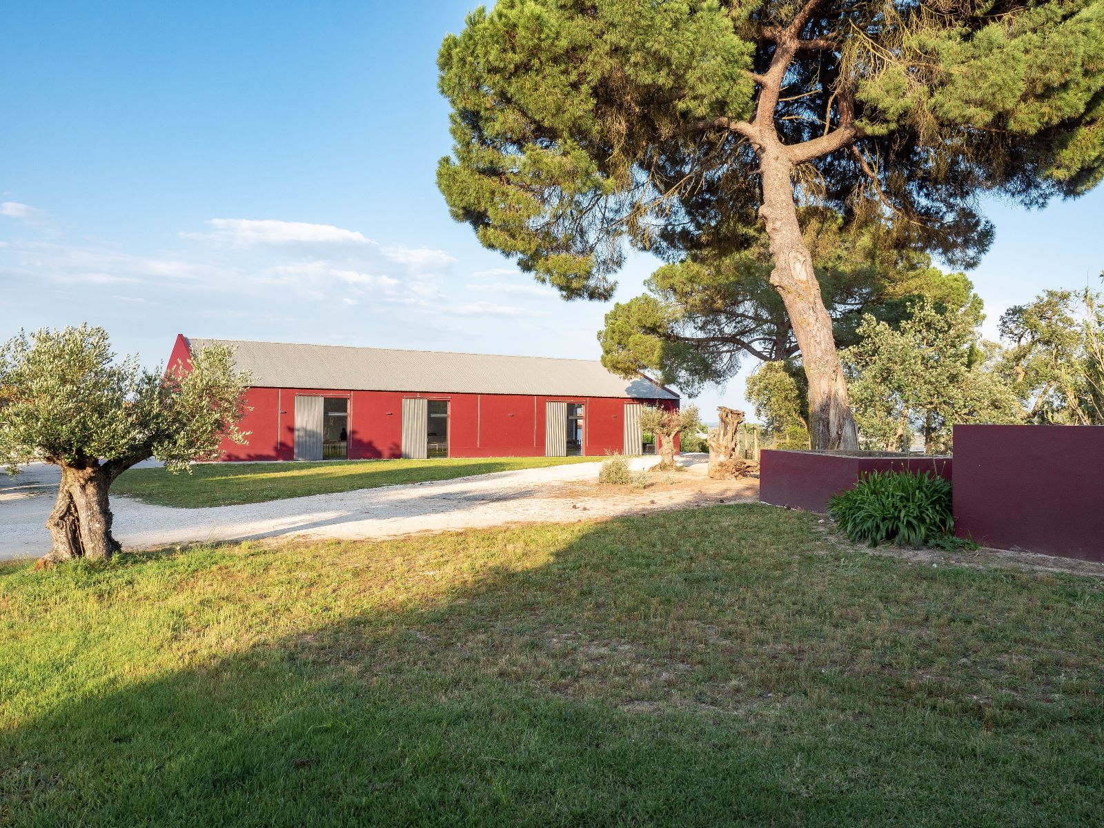 The red barn of Monte da Hortinha under a large pine tree